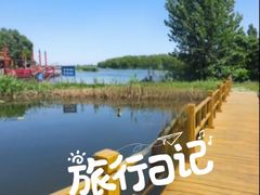 -白洋淀景区