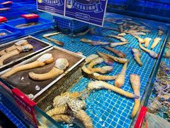 -驻海渔市(置信店)