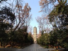 -灵谷景区