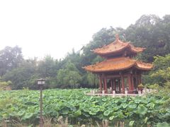 -富乐山