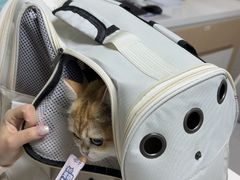 -谐和贝康宠物医院24小时·宠保定点(急重症转诊中心)