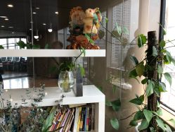 -轩舞汇·爵士舞街舞训练营