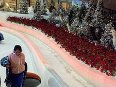 -世界之窗阿尔卑斯冰雪世界