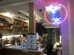 -滚猫咖啡·猫咖·猫友好撸猫(未来城店)