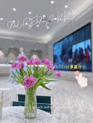 -MuseMarry婚纱(前海嘉里中心店)