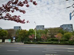 -金陵中学(河西分校)