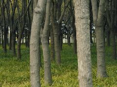-嘉北郊野公园