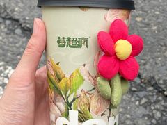 -莓超疯(百源店)