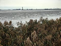 -上海吴淞炮台湾国家湿地公园