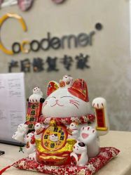 -Cocodemer产后恢复(杭大店)