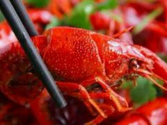 android_upload_pic-九喜龙虾(凤城六路直营店)