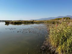 -野鸭湖国家湿地公园