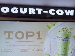 -一只酸奶牛(洪崖洞11楼店)