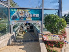 -西霞口神雕山野生动物世界