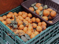 -肥朵食堂(带梦胡同店)