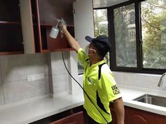 -绿色亿家除甲醛机构