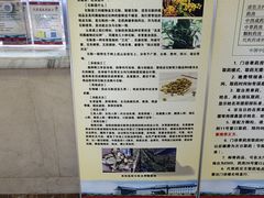 -中国中医科学院西苑医院(本部)
