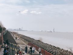 -上海滨江森林公园
