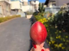 -海珠湖公园