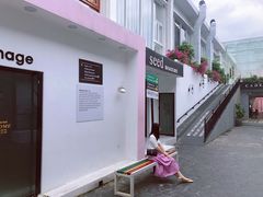 -玫瑰小镇