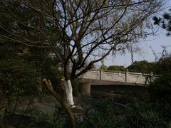 -汤山公园