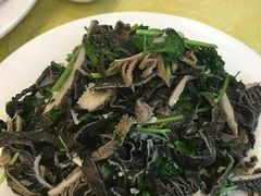 -大顺堂食府(牛街店)