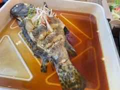 石斑鱼-盒马鲜生(双清路店)
