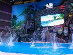 -珠海长隆海洋王国