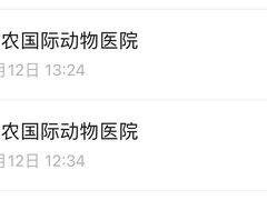 -中农国际动物医院24小时·猫科·骨科·急重症中心