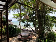 -卷心菜和避孕套餐厅(Pattaya)