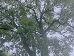 -零陵古城