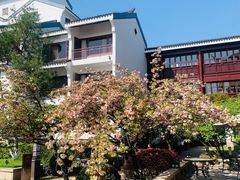 -苏州吴宫泛太平洋酒店
