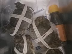 -阳澄湖大闸蟹·琼灵阁牌品牌连锁(吴中总店)