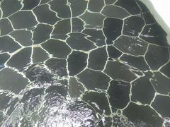 -海兰云天度假区温泉