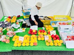 -高山阵屋