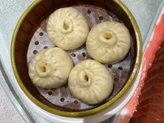 铁勺包子-大铁勺新津菜(东丽阳光新业广场店)
