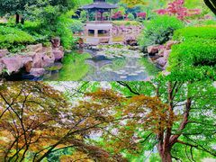 -穹窿山景区