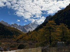 -稻城亚丁景区-冲古草甸