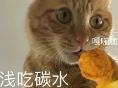 -鲁秀才炒鸡(龙湖西溪天街店)