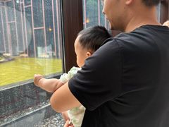 -上海崇明金茂凯悦酒店