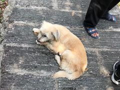 -十八重溪