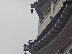 -国恩寺