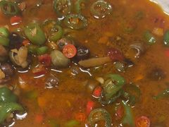 -全乐鱼馆·淳牌有机鱼直营店