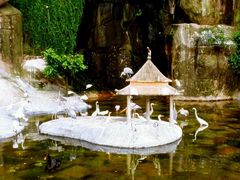 android_upload_pic-百鸟园