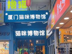 -猫咪博物馆(顶澳仔猫街店)