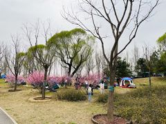 -东郊湿地公园