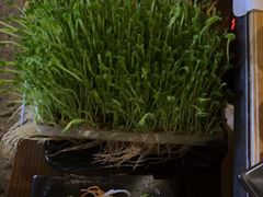 -湊湊火锅·茶憩(东城民盈国贸城店)