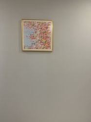 -贞禾轻医美·连锁