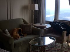 -广州富力丽思卡尔顿酒店