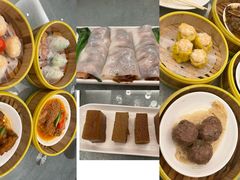 -潮江春(阳光店)